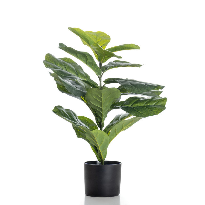 70cm Real Touch Fiddleleaf Fig